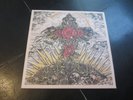 Trapped Under Ice Big Kiss Goodnight LP Vinyl Record Clear Disc Hardcore Rock