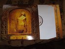 Steve Vai - Sex & Religion - RARE Original Vinyl LP album 1993