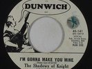 Garage Fuzz 45 - Shadows Of Knight - I'm Gonna Make You Mine - Dunwich - mp3