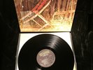 THE GRASS ROOTS  ST LP MONO NM Dunhill D50011 LA 66 Garage Rock Nirvana Where