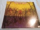AMERICAN BLUES DO THEIR THING RARE PSYCH. BLUES PRE ZZ TOP UNI 73044 LP