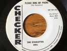 45rpm Doo Wop RARE - PLEASE RING MY PHONE/JUNGLE LOVE - STARLETTES - CHECKER 895
