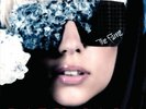 THE FAME [VINYL] [VINYL] LADY GAGA NEW VINYL