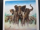 Elvis Costello And The Attractions - Armed Forces LP Mint- MFSL 1-331 180g #3547