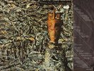 Siouxsie And The Banshees ?– Juju (Vinyl, 1981) Lyrics, Rar