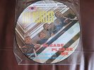 A Vintage 'The Beatles Please Please Me' Picture Disc LP Record