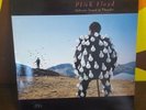 Pink Floyd DELICATE SOUND OF THUNDER Doppio Double LP Vinile Italy 1988