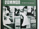 COMMON LIKE WATER FOR CHOCOLATE MCA 2 LP J DILLA
