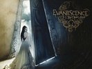 EVANESCENCE The Open Door 2LP Vinyl NEW 2017