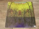 American Blues - American Blues Do Their Thing 1968 CANADIAN LP UNI 1st PSYCH