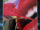 THE ROLLING STONES : LIVE LICKS    TOP 3 LP SET, RAR   SUPER   Wahnsinn