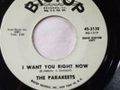 45rpm THE PARAKEETS I Want You Right Now/I love you Like I Do RADIO STATION COPY