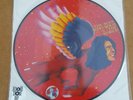 DAVID BOWIE THE MAN WHO SOLD THE WORLD PIC DISC RSD 2016 RECORD STORE DAY