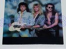FLORENCE 99 RARE AOR LP SS OXIDO VANADIUM