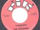 The Seagrams 45 RIK 5017 Unknown b/w Off Beat 1960 Tittyshaker Instro M- surf ?