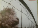 Pearl Jam -  Vs , Epic 474549 1 , gatefold sleeve