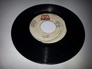 MICRON/I FEEL LOST - B.B. SEATON [ROOT REGGAE]  7