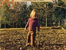 The Allman Brothers Band - Brothers and Sisters VINYL LP NEW