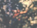 PINK FLOYD - OBSCURED BY CLOUDS - 12