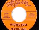 Psych Fuzz Funk 45 - Frozen Sun - Electric Soul - Capt. Zoomar - EXTREMELY rare