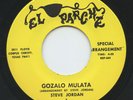 Rare Latin Soul 45 - Steve y Rio Jordan - Gozalo Mulata - El Parche # 041 - M-