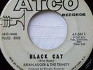 45rpm BRIAN AUGER & THE TRINITY Black Cat / In and Out   PROMO