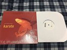 Karate In The Fishtank 12 LP shellac fugazi radiohead godspeed you black emperor