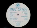 dayjah and the disciples - urban jungle lp ex cond 1997 TEML3 third eye music