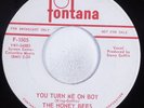 Northern Soul Girl Group 45 HONEY BEES You Turn Me On Boy FONTANA promo HEAR