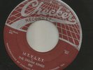 DOOWOP bw JUMP R&B-  DREAM KINGS -  M.T.Y.L.T.T.  -HEAR BOTH -1957 CHECKER
