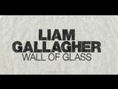 Liam Gallagher Vinyl Oasis Limited To 500 SOLD OUT oasis Wall Of Glass