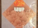 BUMP private michigan rock pop psych original 1970 LP in shrink   Pioneer
