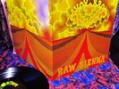 TOPS  1970 Orig SAVOY BROWN   RAW SIENNA    MASTERPIECE Hard BLUES Chris Youlden