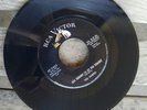 TED HARRIS Please Don't Say Take Me Home / I'd Set You Straight 47-7482 RCA 45