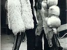 Sonny and Cher,Press Photo,1967,20,5 x 15,2 cm,8