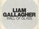 LIAM GALLAGHER DEBUT 7