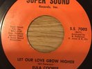 northern soul EULA COOPER let our love grow higher ORIGINAL USA 45