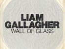 LIAM GALLAGHER DEBUT 7