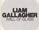 LIAM GALLAGHER DEBUT 7