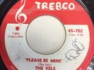 THE VELS Tim Whitsett Imperials -Please Be Mine/ Mysterious Teenager Trebco
