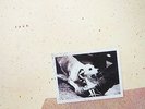 Fleetwood Mac ?– Tusk Double 2x Vinyl LP Remastered Reissue