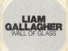 LIAM GALLAGHER WALL OF GLASS 7