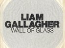 Liam Gallagher Wall Of Glass 7