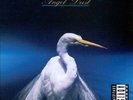 Angel Dust (Vinyl) (Deluxe Edition) by Faith No More.