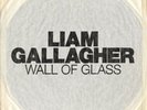 Liam Gallagher Wall Of Glass Rare 7