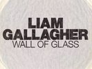 LIAM GALLAGHER DEBUT 7