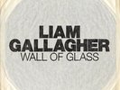 Liam Gallagher - Wall of Glass 7