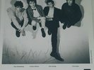 The REPLACEMENTS PRESS KIT PHOTO 8X10 New Wave Indie Rock Punk Garage lp cd 45