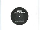 LIAM GALLAGHER WALL OF GLASS 7