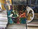 VERY RARE HTF LED ZEPPELIN PICTURE DISC  KASHMIR  MSG NY FEB 12 1975 CAT# LZ1269
